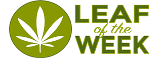 Leaf of the Week