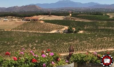 History of Temecula Valley Wine Country | Aall in Limo